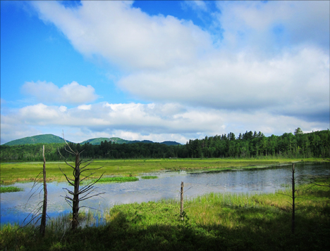 Adirondack Wetlands: Heron Marsh from the Heron Marsh Trail at the Paul Smiths VIC